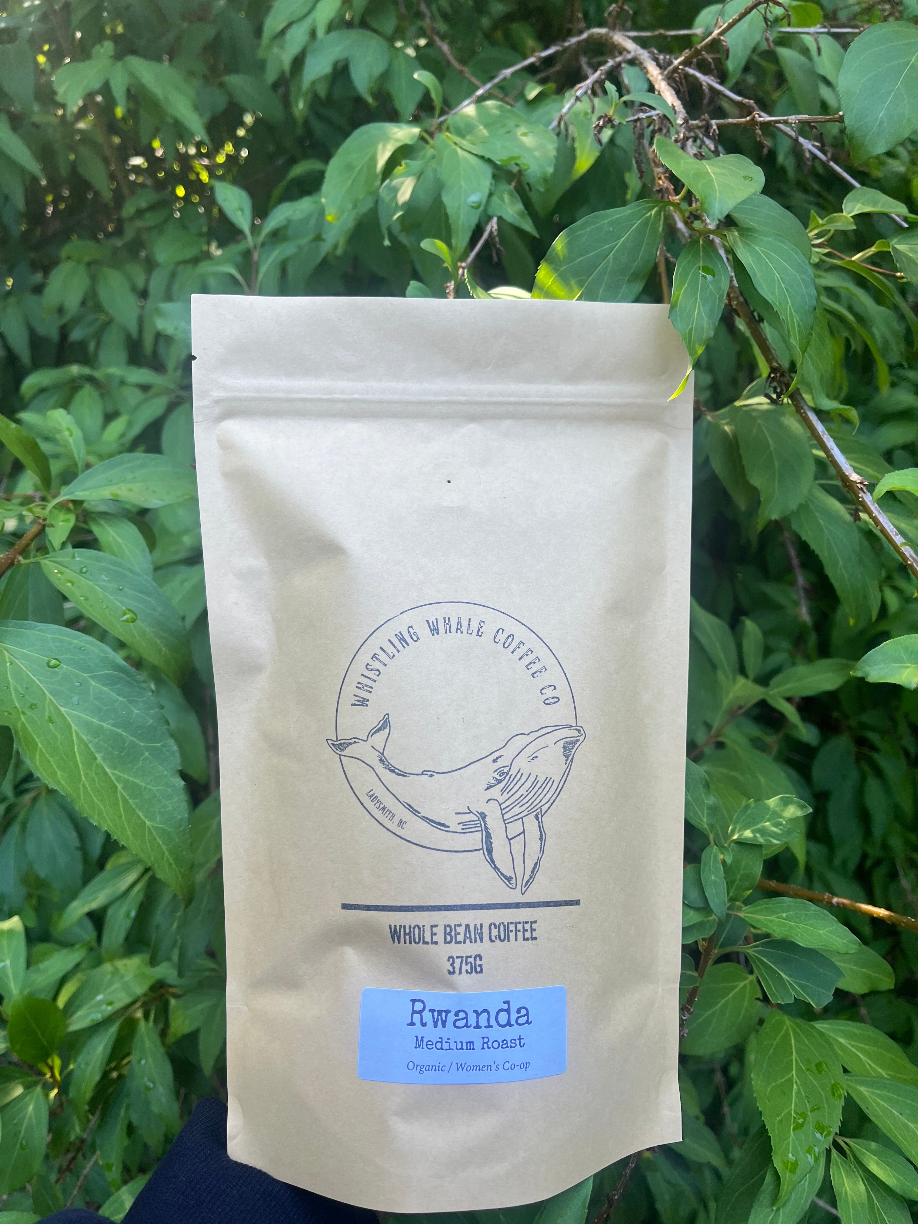 Rwanda Medium Roast